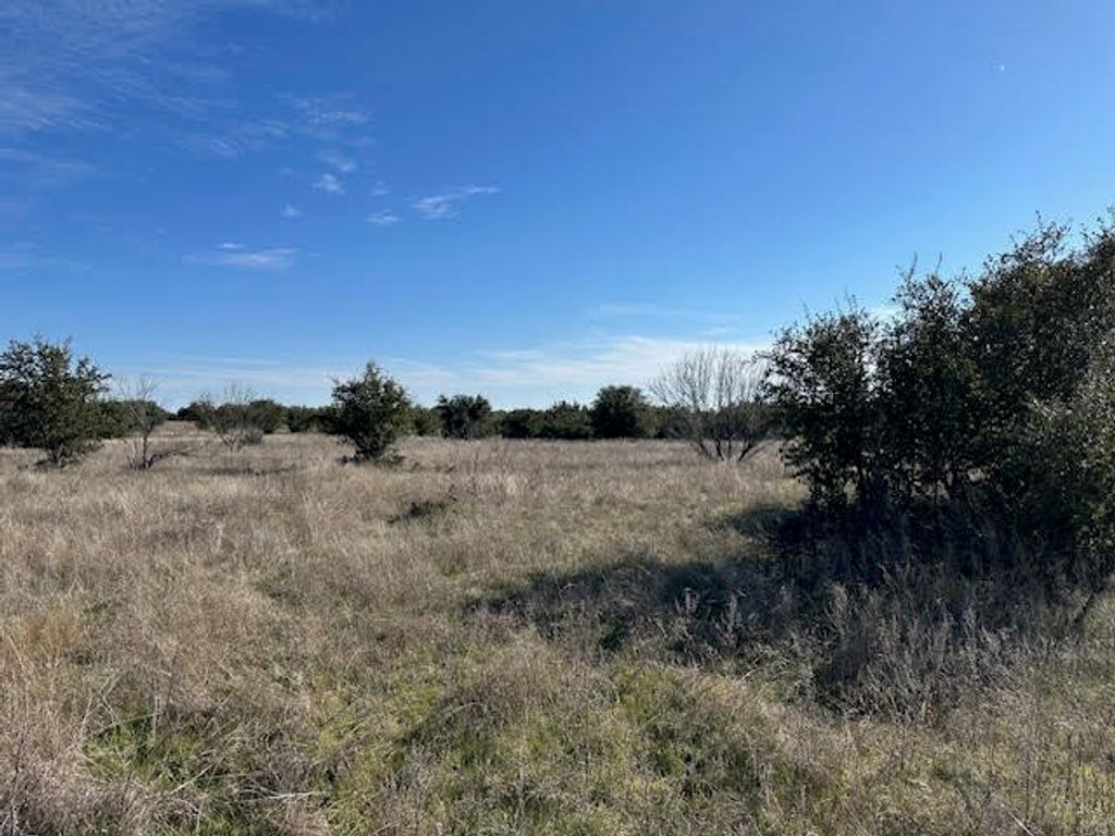 1036 Lake Shore Loop, Graford, TX 76449
