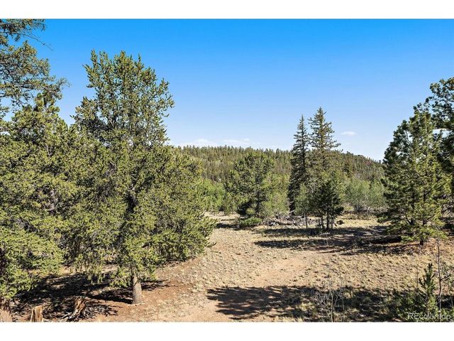 1720 Ute Trl, Como, CO 80432