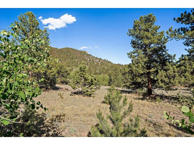 1720 Ute Trl, Como, CO 80432