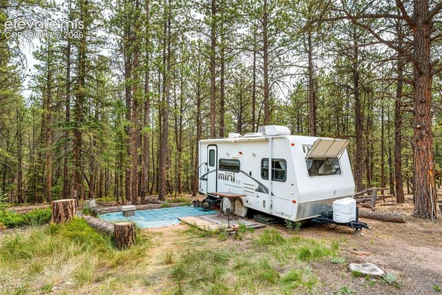 1459 Conestoga Creek Road, Florissant, CO 80816