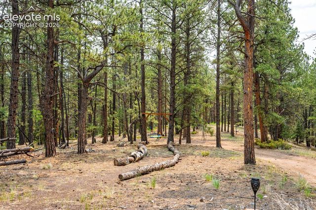 1459 Conestoga Creek Road, Florissant, CO 80816