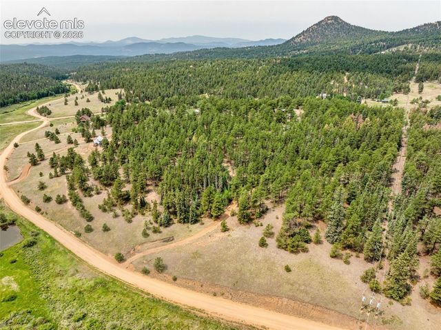 1459 Conestoga Creek Road, Florissant, CO 80816
