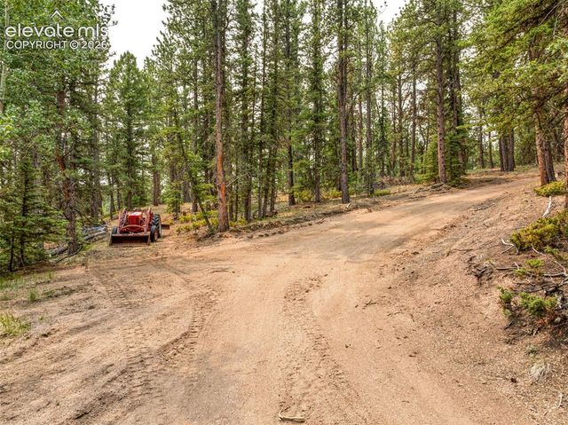1459 Conestoga Creek Road, Florissant, CO 80816