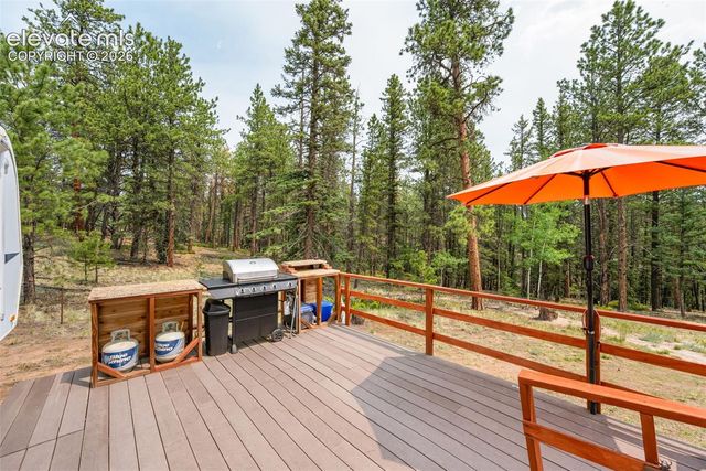 1459 Conestoga Creek Road, Florissant, CO 80816