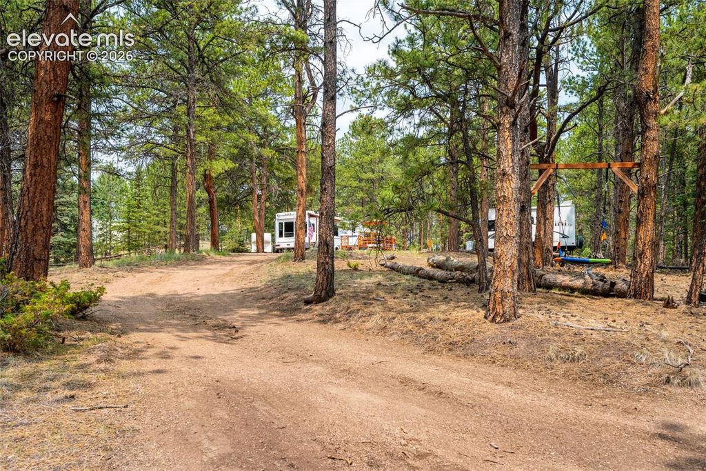1459 Conestoga Creek Road, Florissant, CO 80816 — photo 4