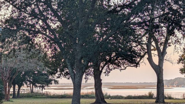 1138 Cottage Road, Charleston, SC 29412