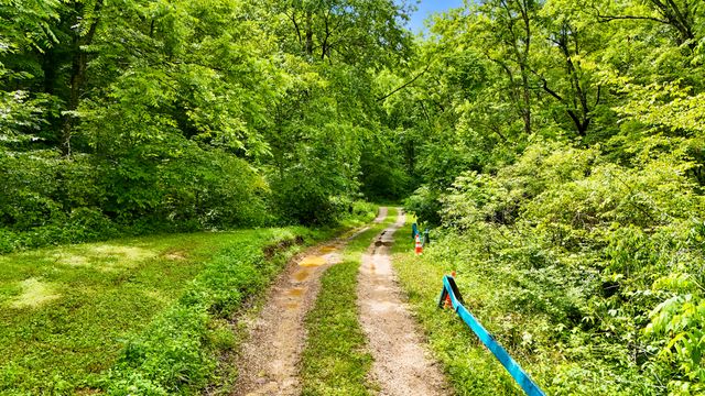1235 Greenbrier Branch Road, Campton, KY 41301