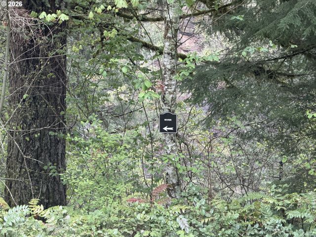 313 Ne 353RD Ave, Washougal, WA 98671