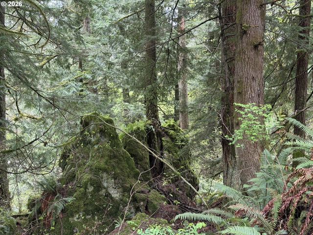 313 Ne 353RD Ave, Washougal, WA 98671