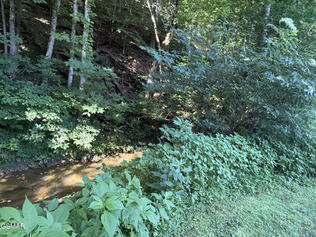 747 Gists Creek Road, Sevierville, TN 37876