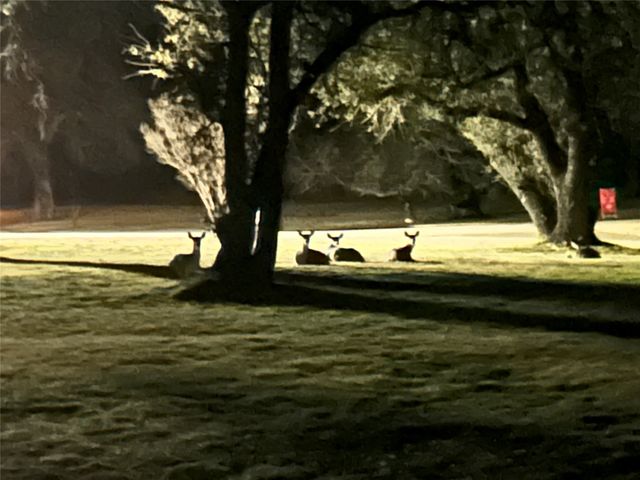 130 Winding Trail, Crawford, TX 76638