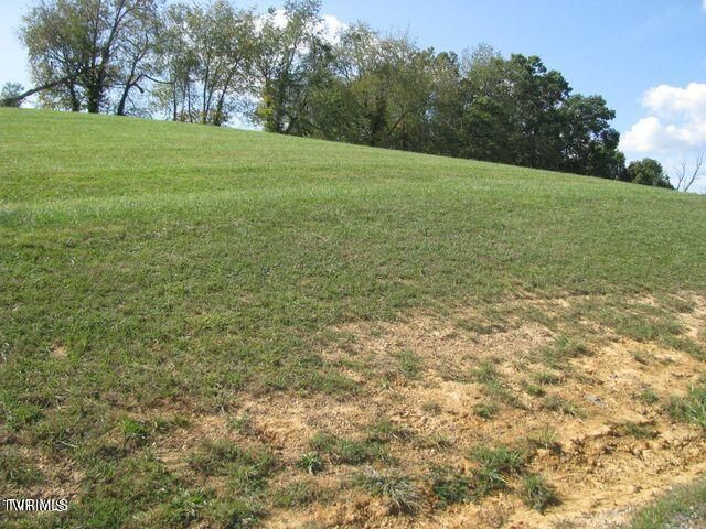 Lot 33 Vineyard Farms Parkway, Butler, TN 37640