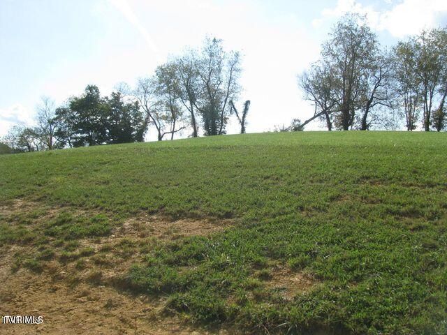 Lot 33 Vineyard Farms Parkway, Butler, TN 37640