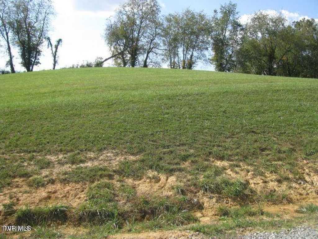 Lot 33 Vineyard Farms Parkway, Butler, TN 37640