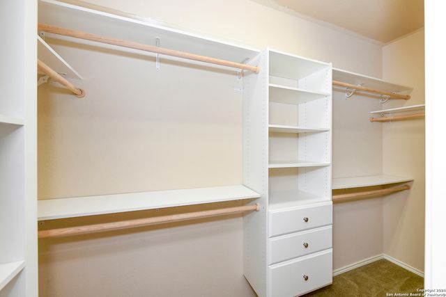 11615 Huisache Daisy, San Antonio, TX 78245