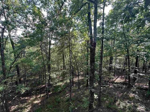 175 Burnt Rock Falls Rd Road, Fairfield Bay, AR 72088