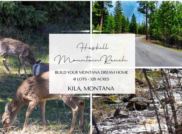 NHN Haskill Ranch Road Multiple Lots, Kila, MT 59920