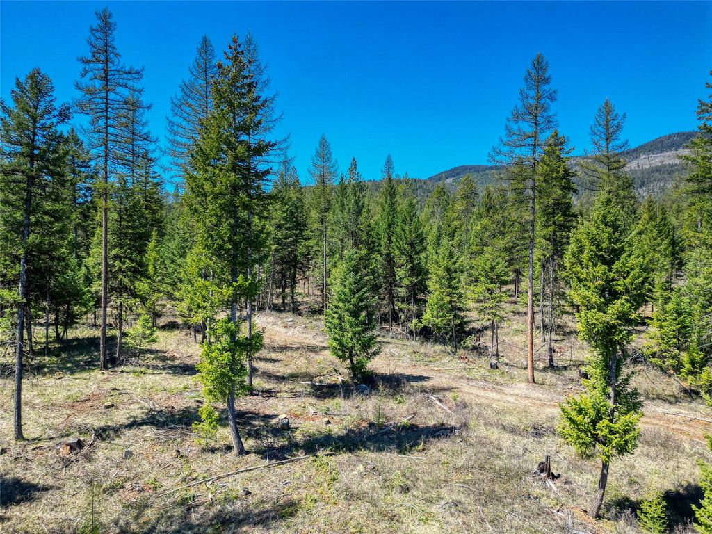 NHN Haskill Ranch Road Multiple Lots, Kila, MT 59920 photo 5