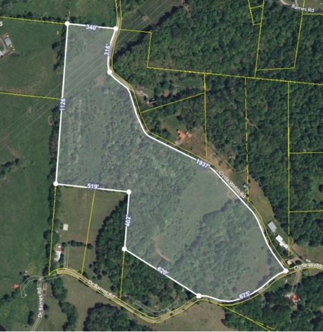 4 Clyde Webb, Tennessee Ridge, TN 37178