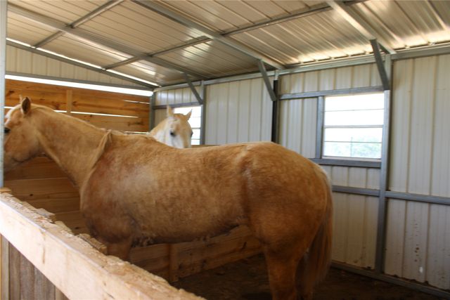 1650 County Road 119, Gordon, TX 76453