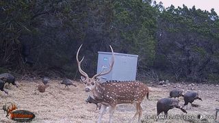 TBD RM 334, Brackettville, TX 78832