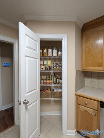 102 W Kilburn Circle W, Madison, AL 35758