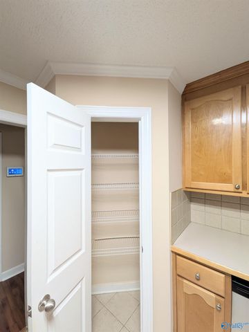 102 W Kilburn Circle W, Madison, AL 35758