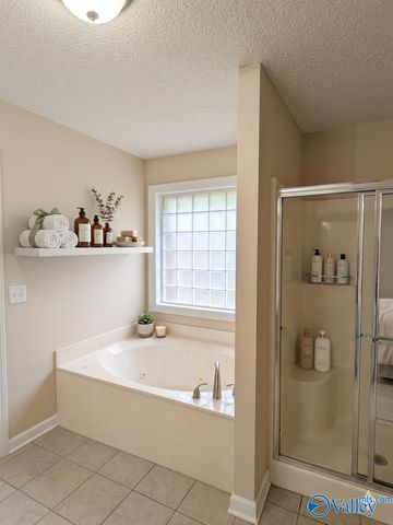 102 W Kilburn Circle W, Madison, AL 35758