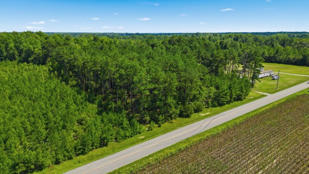 TBD Flag Patch Rd., Loris, SC 29569 — exterior