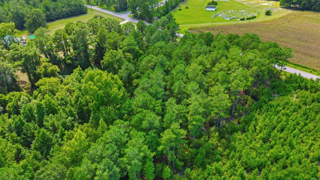 TBD Flag Patch Rd., Loris, SC 29569 — photo 2