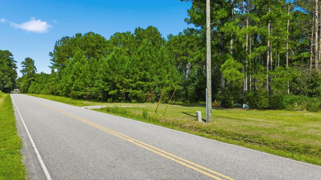 TBD Flag Patch Rd., Loris, SC 29569 — photo 3