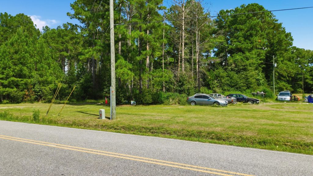 TBD Flag Patch Rd., Loris, SC 29569 — photo 5