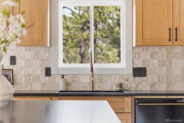 33691 Nova Road, Pine, CO 80470