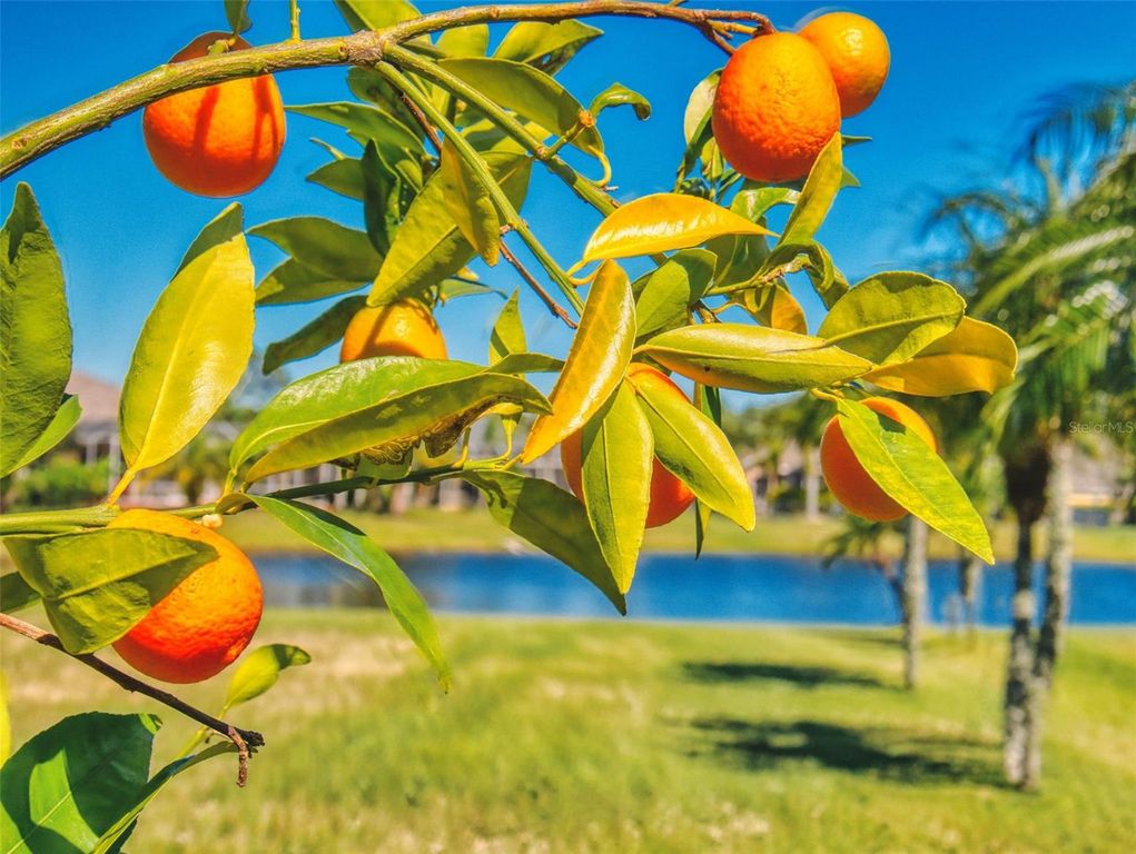 Image 6 of property listing at 3611 MARISOL COURT, New Smyrna Beach, FL 32168