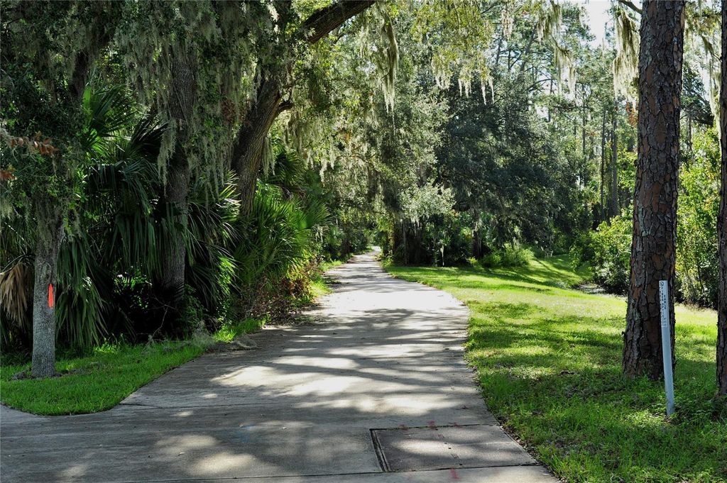 Image 61 of property listing at 3611 MARISOL COURT, New Smyrna Beach, FL 32168