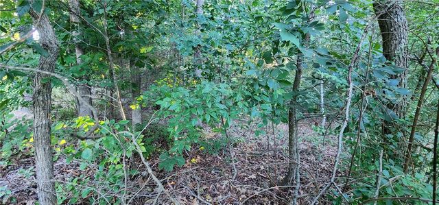 Lot 4 NE Newent Lane, Bella Vista, AR 72714