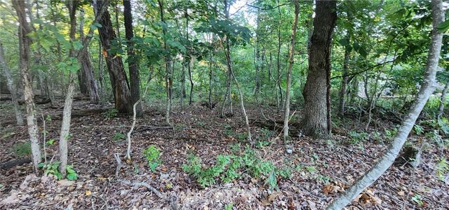 Lot 4 NE Newent Lane, Bella Vista, AR 72714