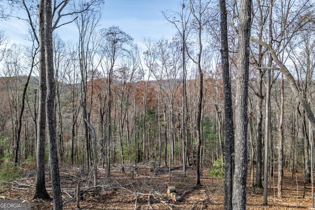 210 Mt Pleasant Ridge, Blairsville, GA 30512