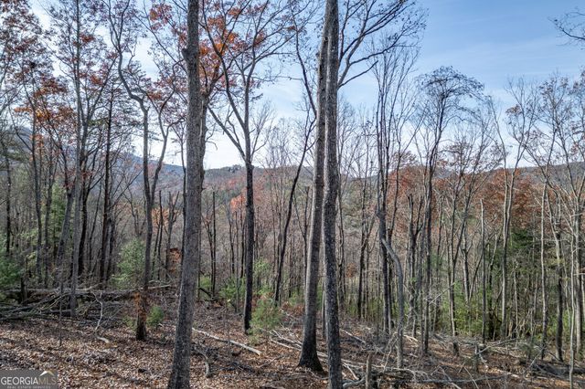 210 Mt Pleasant Ridge, Blairsville, GA 30512