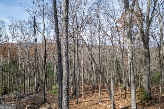 210 Mt Pleasant Ridge, Blairsville, GA 30512