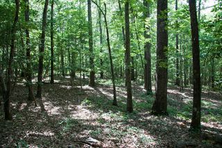 1515C HEPHZIBAH - MCBEAN Road, Hephzibah, GA 30815