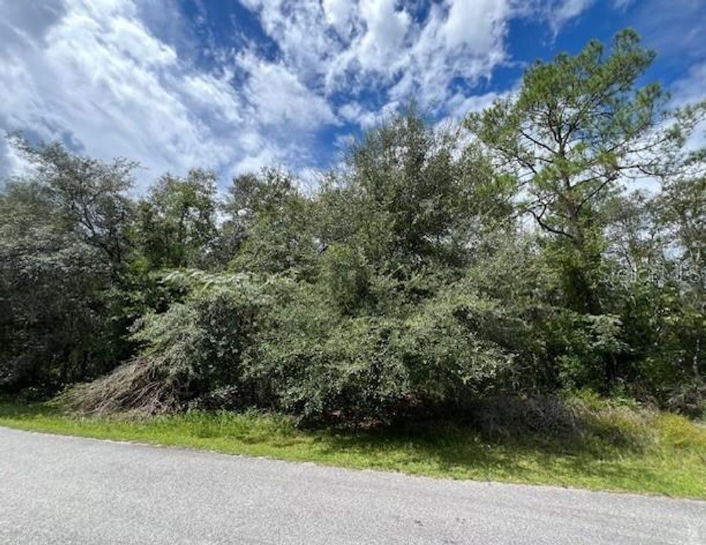 6252 N CAVALIER TERRACE, Citrus Springs, FL 34433