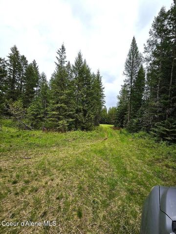 NNA Huckleberry Mtn. Road, Careywood, ID 83809