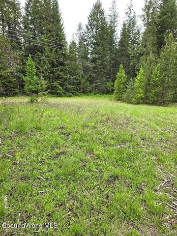 NNA Huckleberry Mtn. Road, Careywood, ID 83809