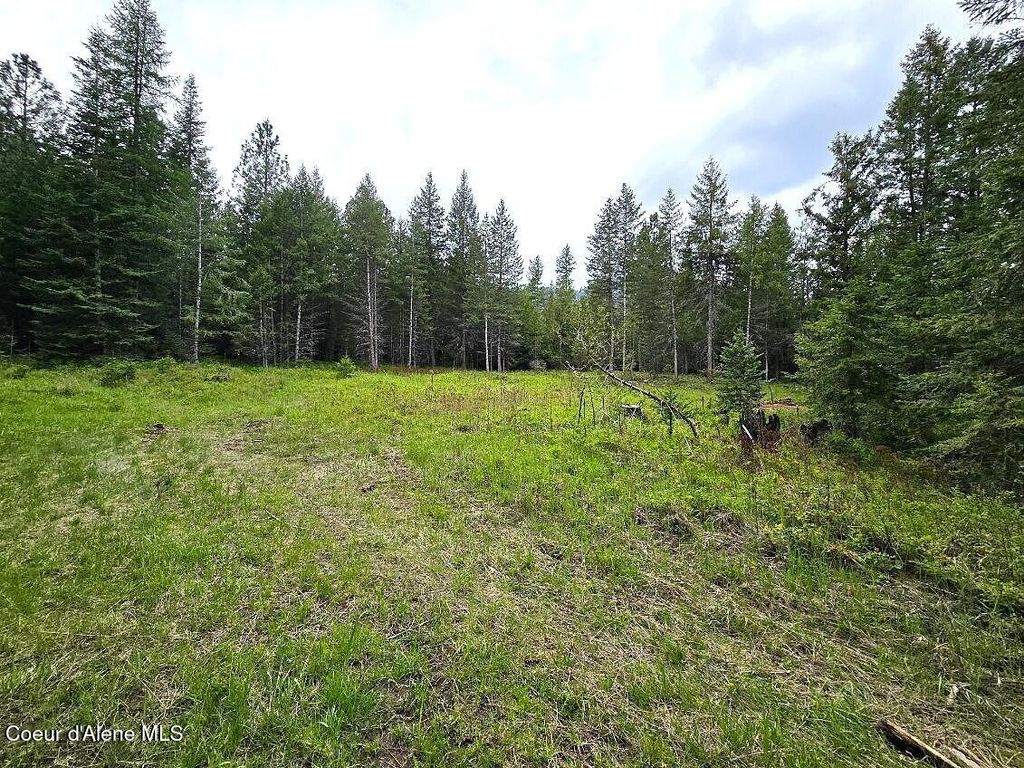 NNA Huckleberry Mtn. Road, Careywood, ID 83809