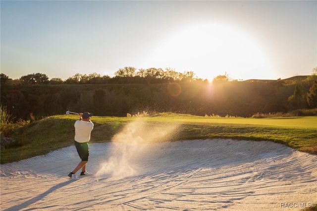 3221 W Wentworth Loop, Lecanto, FL 34461