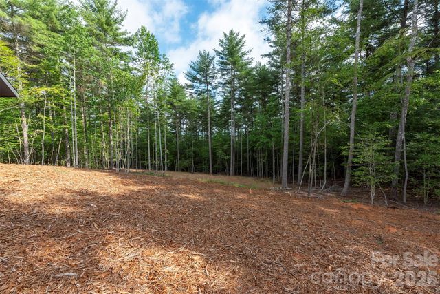 1156 Campbells Trace, Nebo, NC 28761