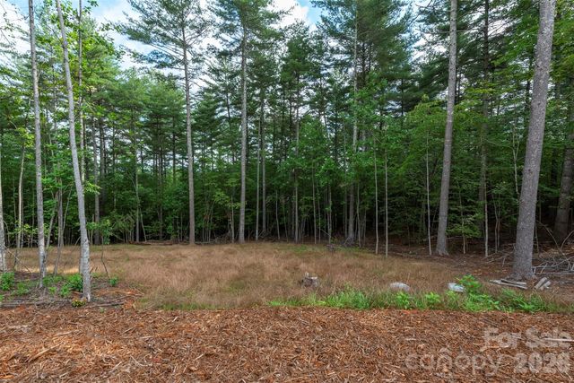 1156 Campbells Trace, Nebo, NC 28761