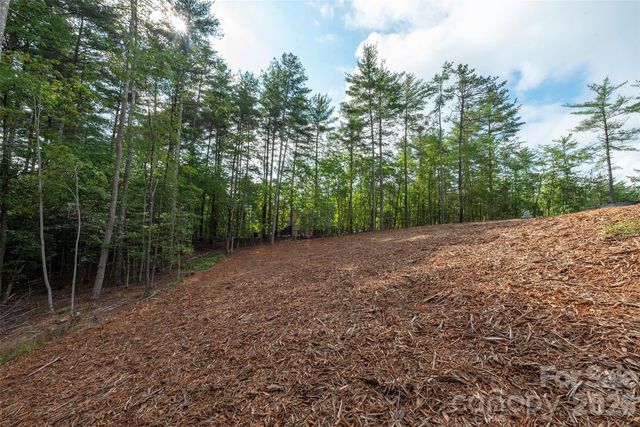 1156 Campbells Trace, Nebo, NC 28761