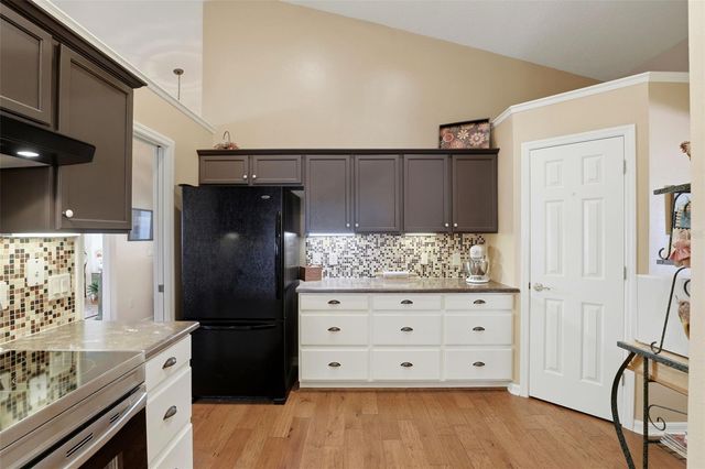 864 LAKE ELSIE DRIVE, Tavares, FL 32778